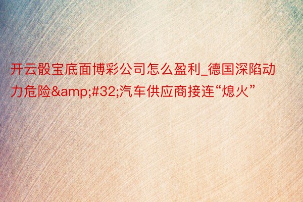 开云骰宝底面博彩公司怎么盈利_德国深陷动力危险&#32;汽车供应商接连“熄火”